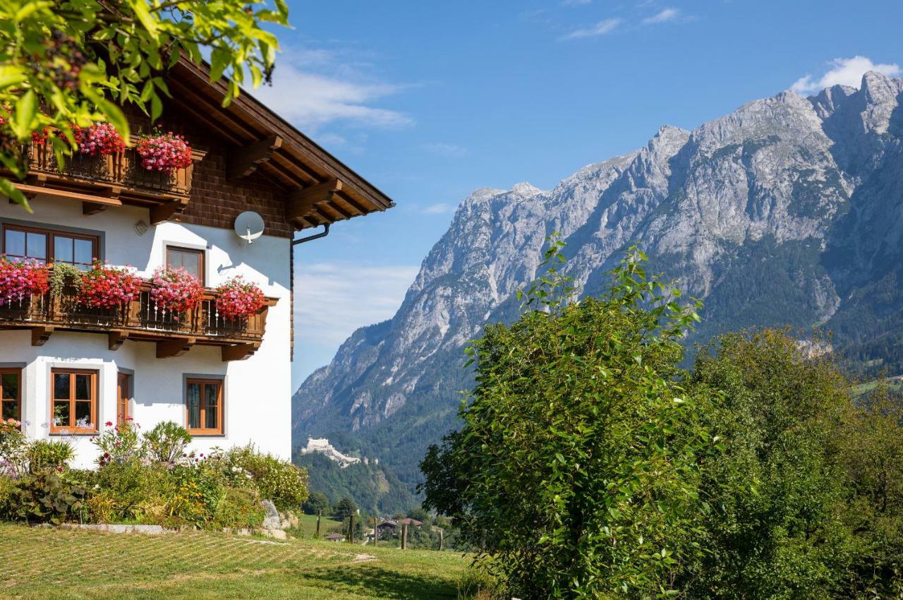 Ferienwohnung Unterschwabegghof Werfen Exterior foto